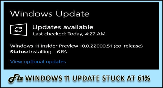 Windows 11 업데이트가 61%에서 멈추는 문제 수정 [9가지 입증된 방법]