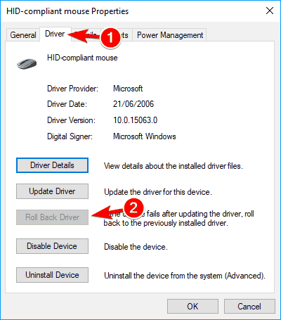 Ritardo del mouse e balbuzie su Windows 11 – RISOLTO