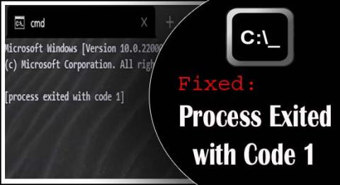 REPARAT: Procesul ieșit cu codul 1 Windows 11 [GHID DETALIAT]
