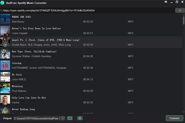 เพิ่มเพลง Spotify ลงในโปรแกรมแปลงเพลง Spotify ฟรี