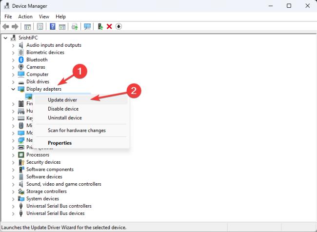 Kemas kini Pemacu Grafik