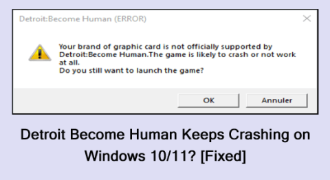 Detroit become human は Windows 10/11 でクラッシュし続けますか? [修理済み]