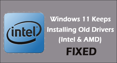 Windows 11에서 이전 드라이버를 계속 설치하는 4가지 수정 사항(Intel 및 AMD)