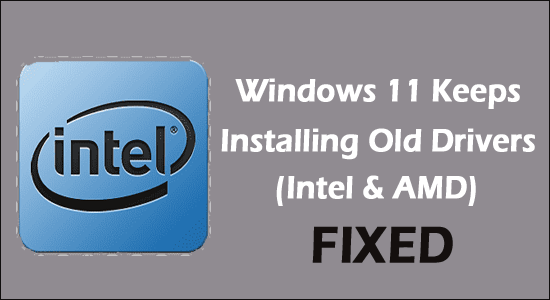 4 Fixes for Windows 11 Keeps Installing Old Drivers (Intel & AMD)