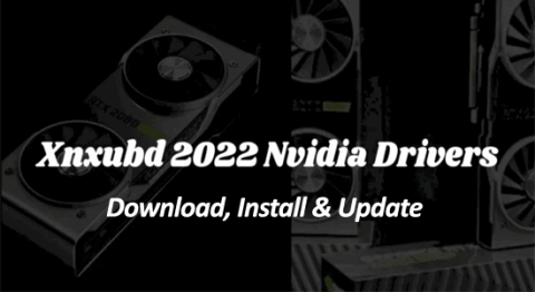 Pilotes Nvidia Www.XNXUBD 2022 : télécharger, installer et mettre à jour