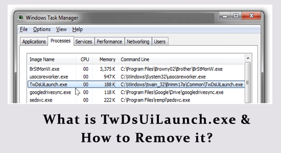 What is TwDsUiLaunch.exe & How to Remove it?