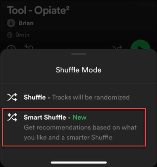 Cara Membetulkan Spotify Shuffle Tidak Berfungsi