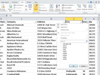 Come filtrare i record in una tabella di Excel 2010 con AutoFilter