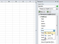 Come utilizzare il Thesaurus in Excel 2010