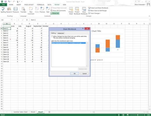 Come condividere file Excel 2013