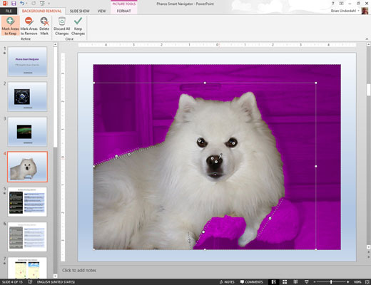 PowerPoint 2013에서 그림 배경을 제거하는 방법
