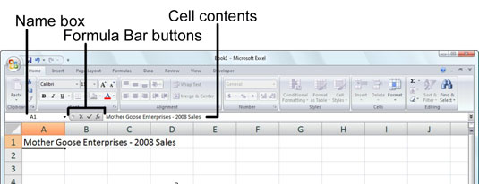 Capire la barra della formula di Excel 2007