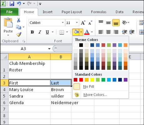 노인용: Microsoft Excel에서 색상을 채우는 방법