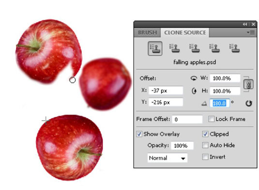 Photoshop CS5에서 복제 스탬프 도구 사용