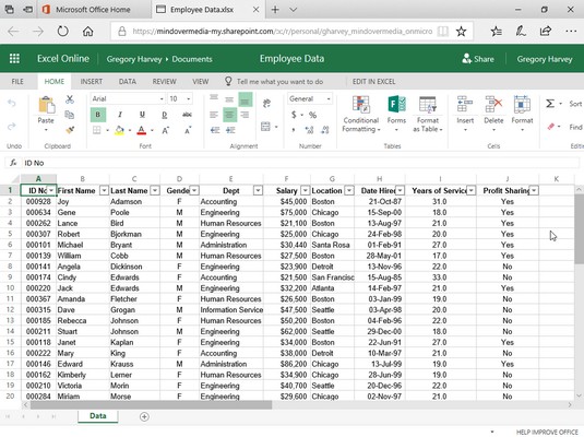 Come modificare in Excel online