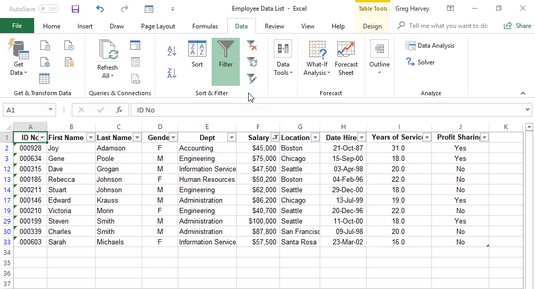 Come utilizzare il filtro automatico in Excel 2019