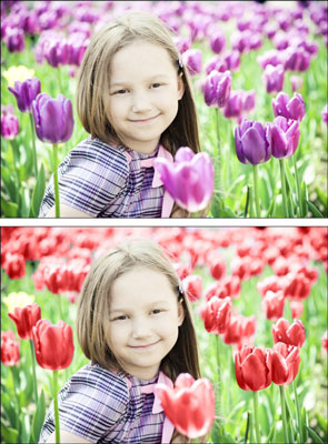 Photoshop CS6에서 색상 교체 도구로 이미지에 색상을 입히는 방법