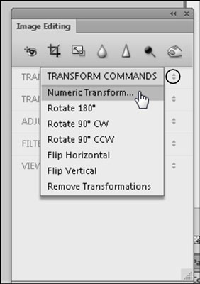 Como dimensionar imagens no Adobe Fireworks CS6