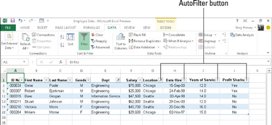 La funzione di filtro automatico di Excel 2013