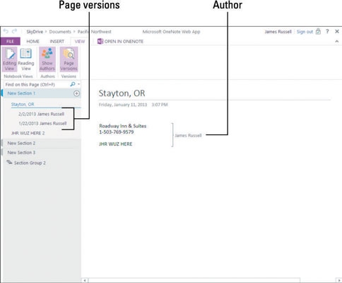 Come visualizzare versioni e autori in OneNote