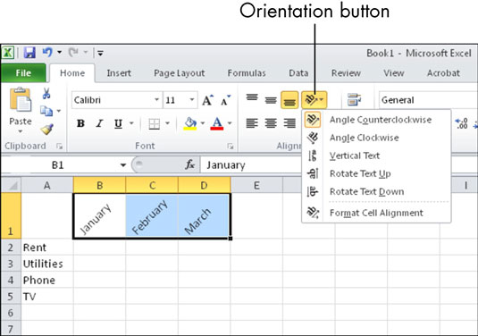 Microsoft Excel에서 셀의 텍스트 서식을 지정하는 방법