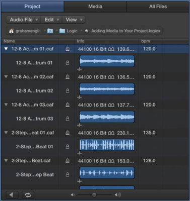 프로젝트에 미리 녹음된 오디오를 추가하는 방법