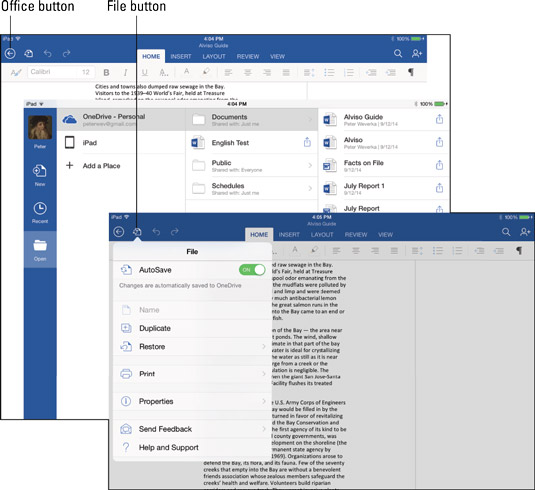 iPad에서 Office 파일(문서, 통합 문서 및 프레젠테이션)을 사용하는 방법
