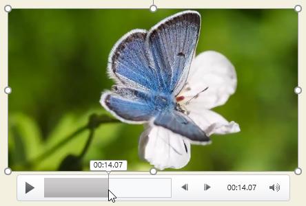 PowerPoint 2019 (Partea 19): Inserați videoclipuri