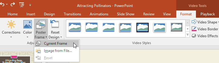 PowerPoint 2019 (часть 19): вставка видео