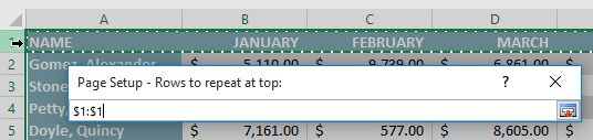 Excel 2019 (Parte 11): layout e stampa