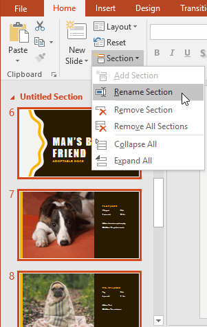 PowerPoint 2019 (Parte 8): gestione delle diapositive