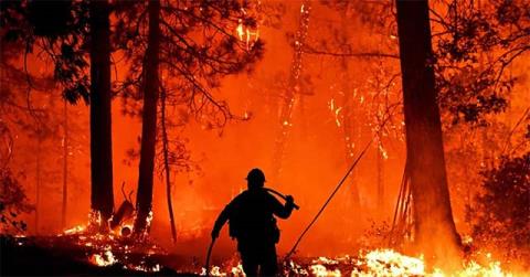 科学者が AI を使用して大規模な森林火災を予測