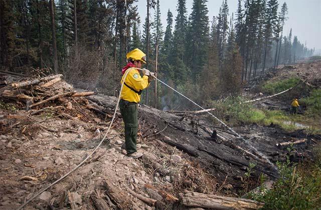 Wetenschappers gebruiken AI om grootschalige bosbranden te voorspellen