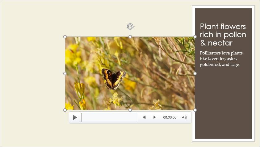 PowerPoint 2019 (deel 19): video's invoegen