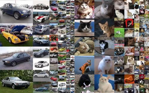 AI は本物の人間、偽物の車、家、さらには動物に似た顔を作成しました