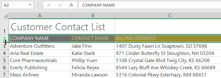 Excel 2019 (Parte 5): Modificar columnas, filas y celdas