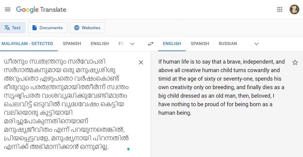 ChatGPT of Google Translate beter vertaalt?