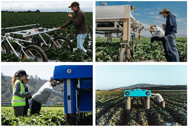 'Plant Buggy' - Robot AI berfungsi di ladang seperti petani sebenar