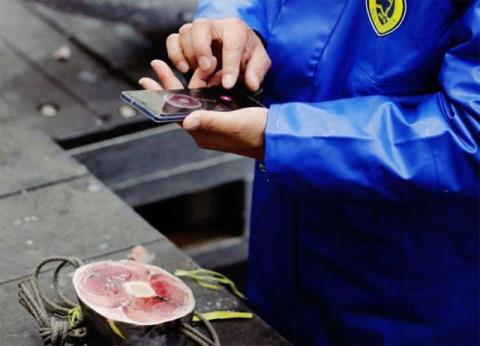 日本の寿司店はAIを活用してマグロの品質を高精度に評価
