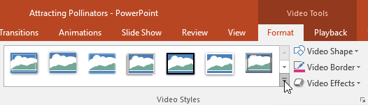PowerPoint 2019 (الجزء 19): إدراج مقاطع الفيديو