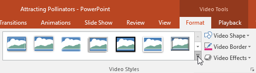 PowerPoint 2019 (deel 19): video's invoegen