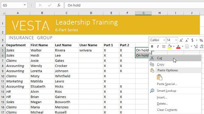 Excel 2016 - Leçon 5 : Concepts de base des cellules et des plages