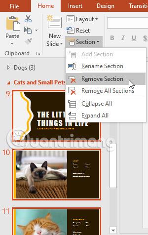 PowerPoint 2016: Zarządzaj slajdami w programie PowerPoint