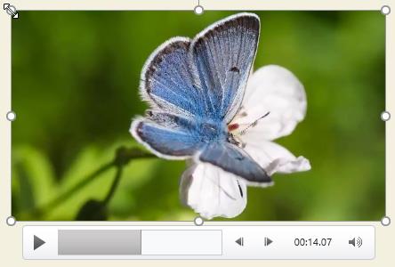 PowerPoint 2019 (Partea 19): Inserați videoclipuri