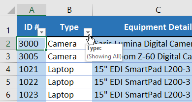 Excel 2019 (Partea 19): Filtrați datele