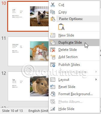 PowerPoint 2016: พื้นฐานสไลด์