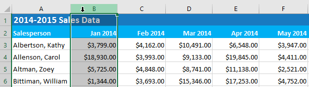 Excel 2019 (Parte 17): congelar filas/columnas y ver opciones