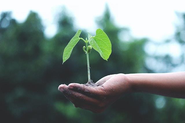 數據分析師每天做什麼？