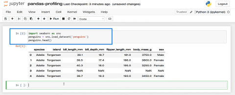 Ensembles de données dans Pandas avec ProfileReport() | Python dans LuckyTemplates