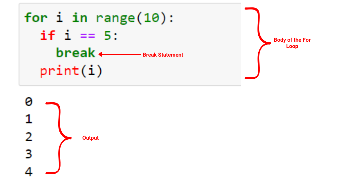 Python For Loop : un guide concis pour maîtriser l'itération